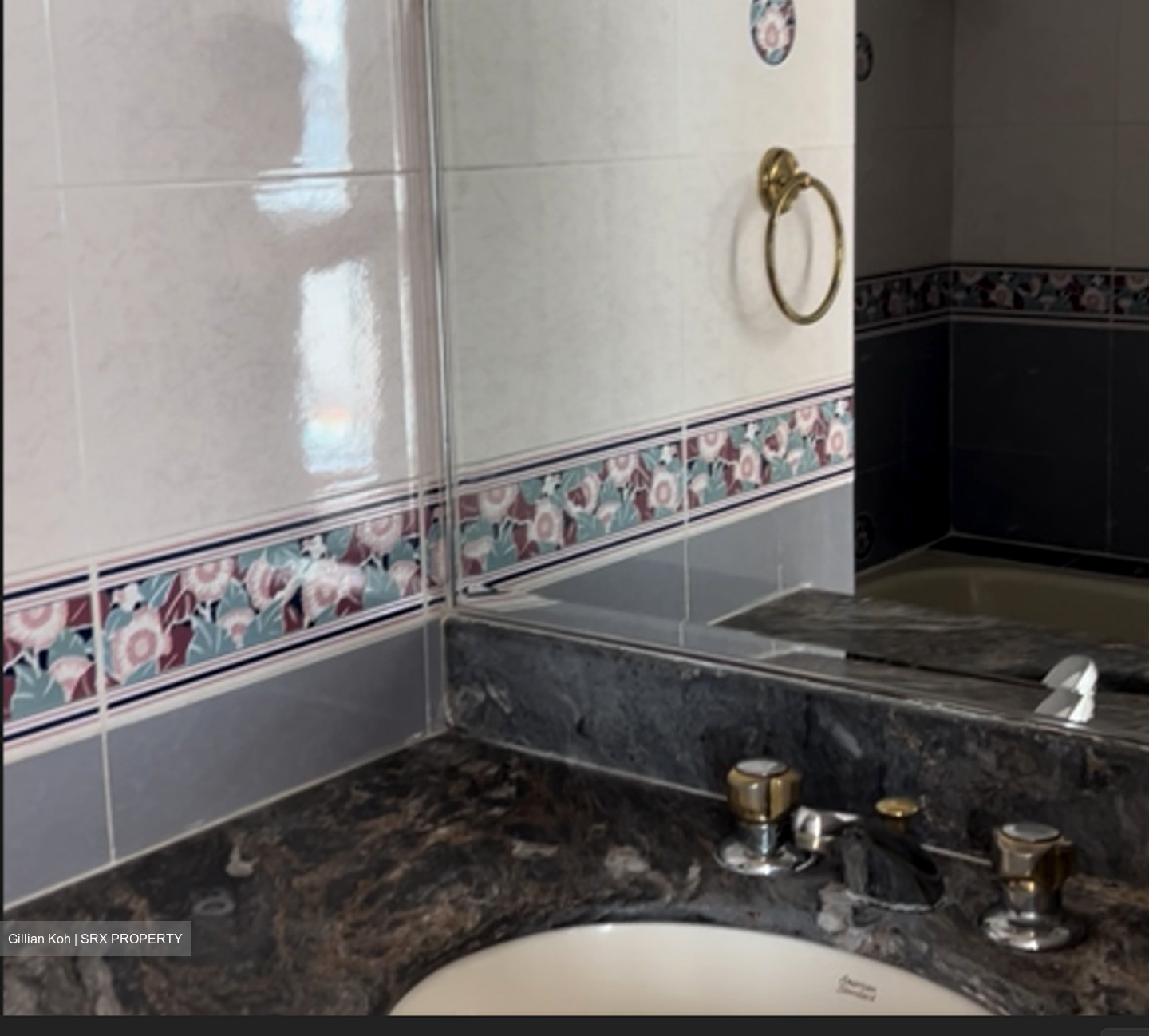 Emerald Park (D3), Condominium #542199091